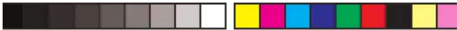 Color swatch bar with grayscale gradient from black to white (no text or symbols)