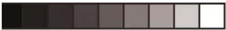 Gradient color bar transitioning from black to white (no text or symbols)