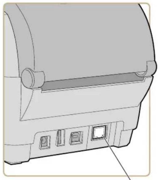 HONEYWELL PC23d - Connect the Printer to an Ethernet Network - 1