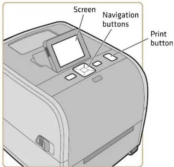 Screen Navigation buttons Print button