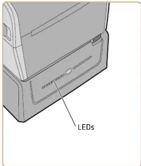 LEDs