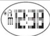 OREGON SCIENTIFIC SE338 - MODES - 2