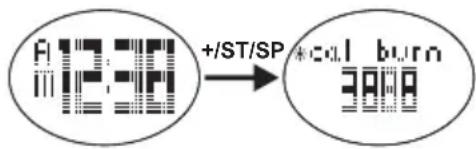 OREGON SCIENTIFIC SE338 - CONDIZIONI NORMALI - 1