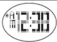 OREGON SCIENTIFIC SE338 - CONDIZIONI NORMALI - 4