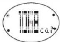 OREGON SCIENTIFIC SE338 - CONDICIONES NORMALES - 3
