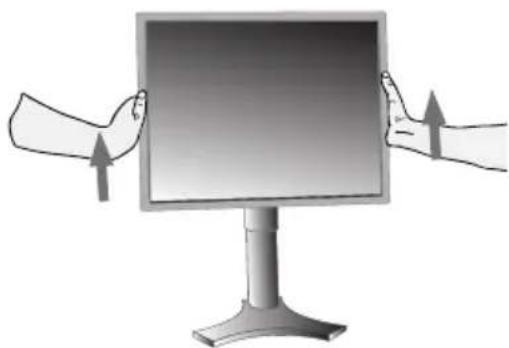NEC MultiSync LCD2490WUXI - Élévation et descente de l'écran du moniteur - 1