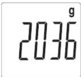 2036g