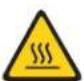 LENOVO eServer xSeries System x3100 M5 - CAUTION: - 1