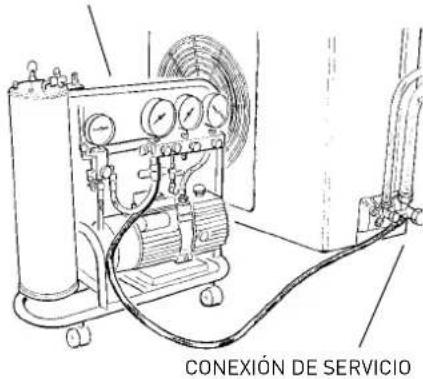 CONEXIÓN DE SERVICIO