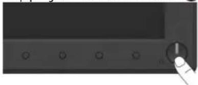 DELL E Series E2016 - Allumer le moniteur - 1