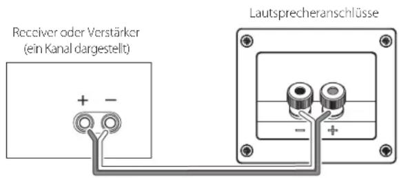 Receiver oder Verstärker (ein Kanal dargestellt) + - Lautsprecheranschlüsse