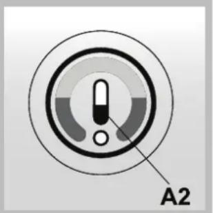 A2