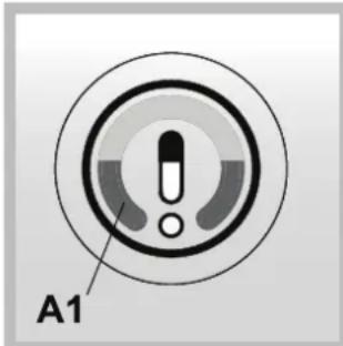 A1