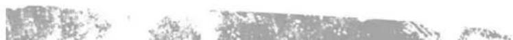 Abstract grayscale texture with no discernible text, symbols, or structured elements