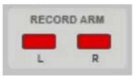 RECORD ARM L R