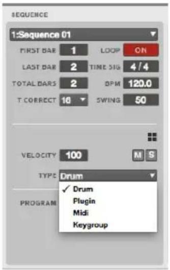 SEQUENCE 1:Sequence 01 FIRST BAR 1 LOOP ON LAST BAR 2 TIME SIG 4/4 TOTAL BARS 2 BPM 120.0 T CORRECT 16 SWING 50 VELOCITY 100 M S TYPE Drum ✓ Drum Plugin Midi Keygroup PROGRAM