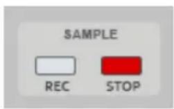 SAMPLE REC STOP