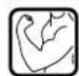 BOSCH GAL 3680 CV Professional - Symbol Betydning - 8