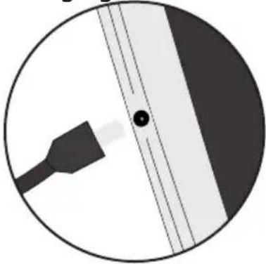 Circular diagram showing a plug inserted into a device, with no visible text or symbols.