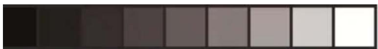 Gradient color bar transitioning from black to white (no text or symbols)