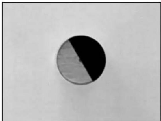 Simple circular diagram with two black and white segments on a plain background (no text or symbols)