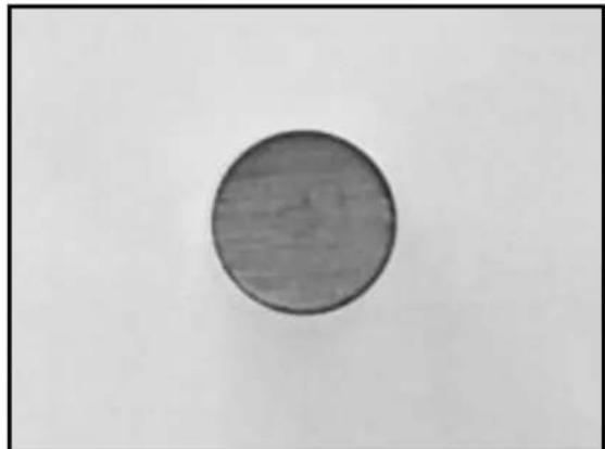Simple circular shape with a textured inner ring on a plain background (no text or symbols)