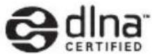 PIONEER SBX-N550 - DLNA - 1