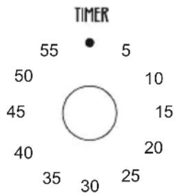TIMER 55 5 50 10 45 15 40 20 35 30 25
