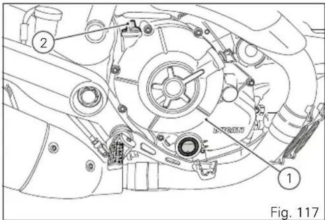 Fig. 117