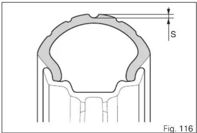 S Fig. 116