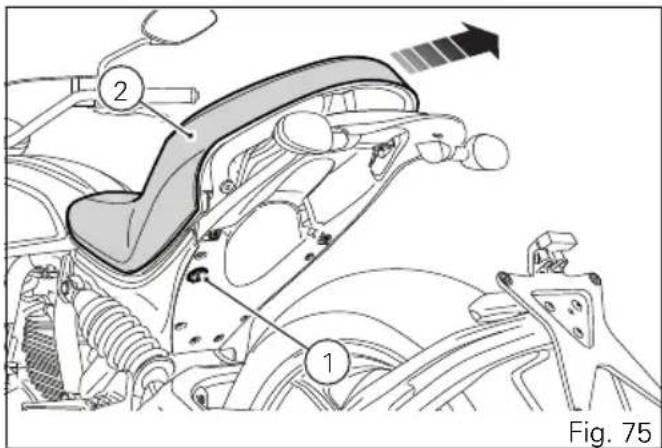 Fig. 75
