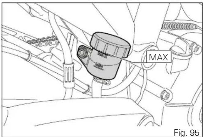 MAX Fig. 95