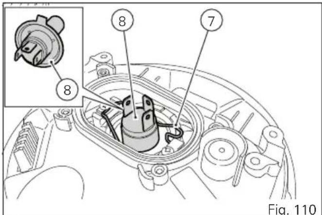 Fig. 110