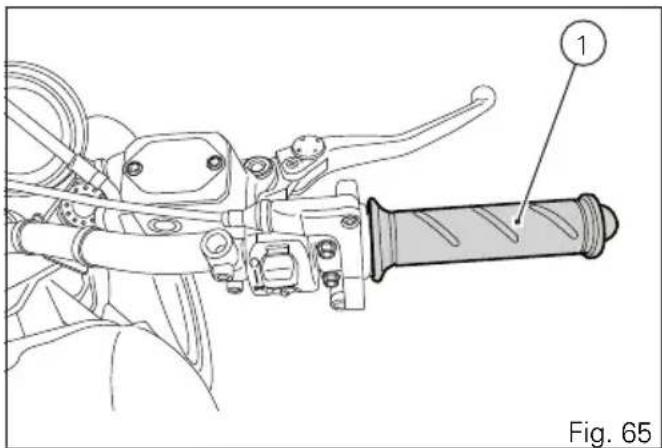 Fig. 65