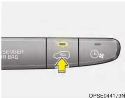 ASSENGER AIR BAG OPSE044173N