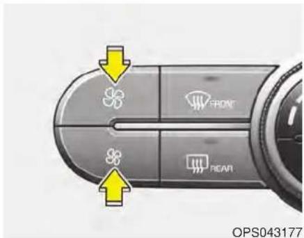 FRONT REAR OPS043177