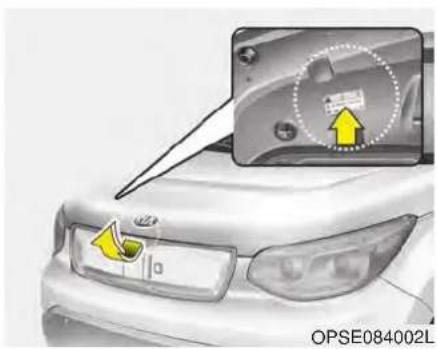 KIA Soul EV (2015) - REFRIGERANT LABEL - 1