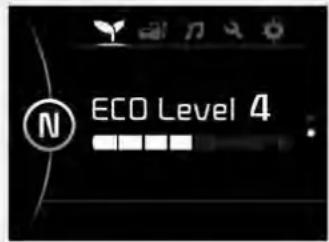 ECO Level 4
