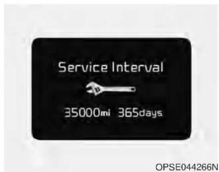 Service Interval 35000mi 365days OPSE044266N