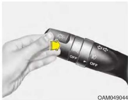OFF 10 OFF OAM049044