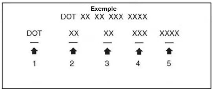Exemple DOT XX XX XXX XXXX DOT XX XX XXX XXXX ↑ ↑ ↑ ↑ ↑ 1 2 3 4 5