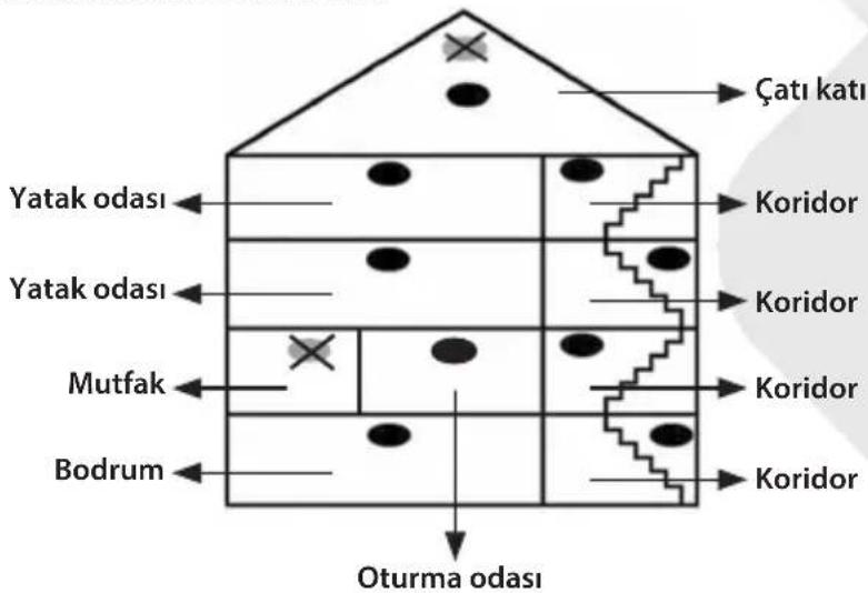 Çatı katı Yatak odası Yatak odası Mutfak Bodrum Koridor Koridor Koridor Koridor Koridor Oturma odası