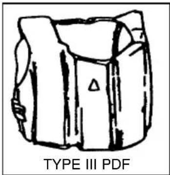 TYPE III PDF