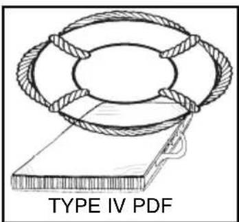 TYPE IV PDF