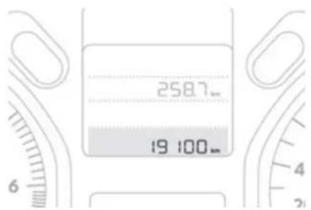 258.7 19 100