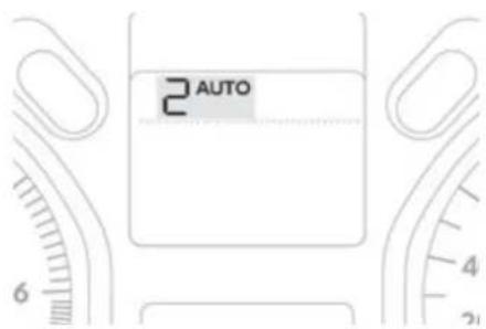 AUTO 6