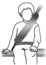 Lincoln MKX (2016) - Seatbelts - 1