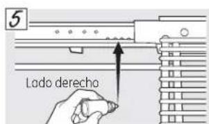 5 Lado derecho