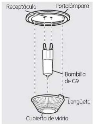 Receptáculo Portalámpara Bombilla de G9 Lengüeta Cubierta de vidrio