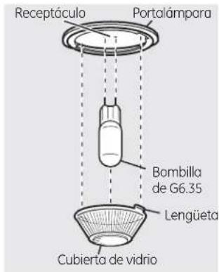Receptáculo Portalámpara Bombilla de G6.35 Lengüeta Cubierta de vidrio